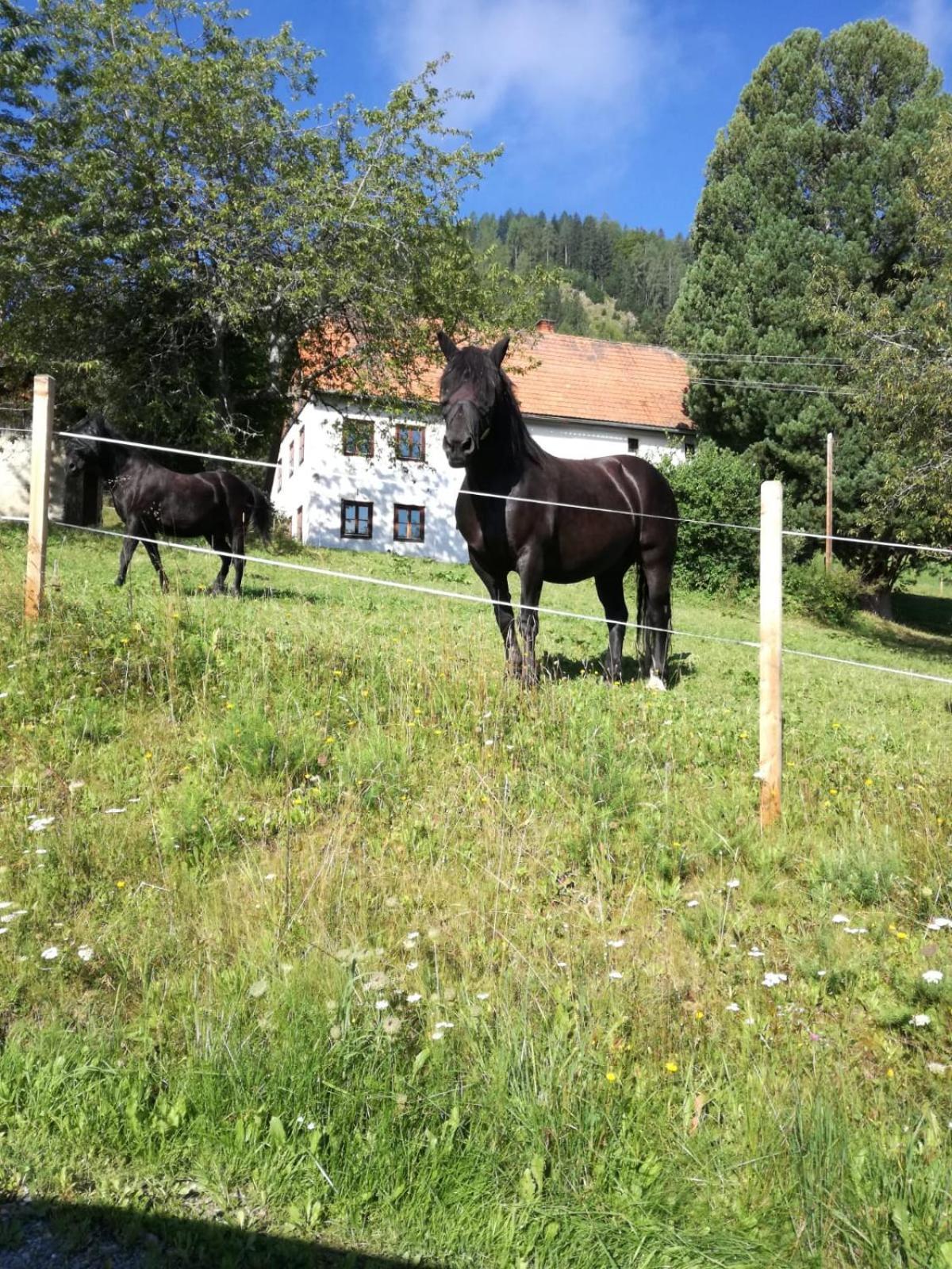 Chalet Bergblick Sankt Blasen Zewnętrze zdjęcie